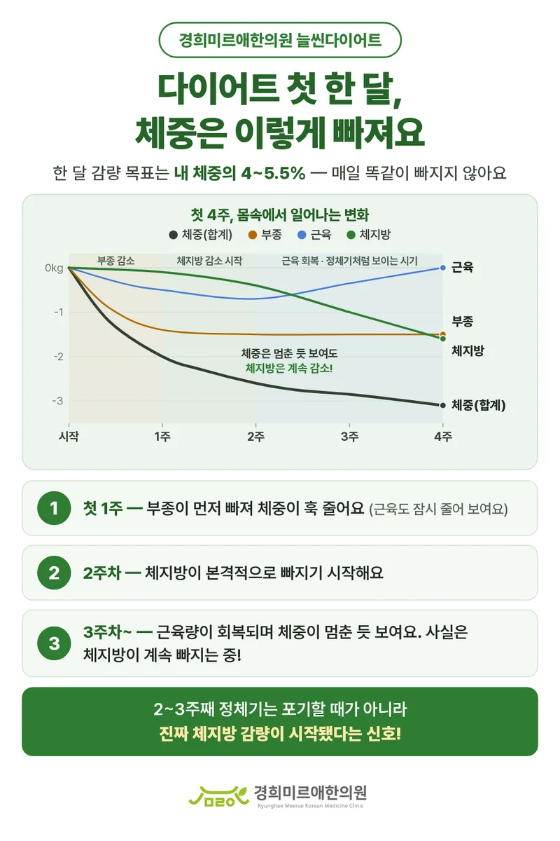 다이어트 첫 한 달 체중 변화 그래프 카드뉴스 — 1주차 부종 감소, 2주차 체지방 감소 시작, 3주차 근육 회복으로 체중이 멈춘 듯 보이는 시기를 정리한 안내 이미지, 경희미르애한의원 늘씬다이어트
